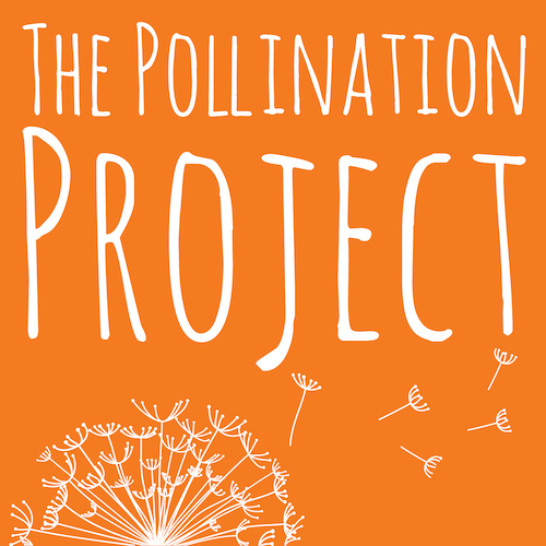The Pollination Project logo